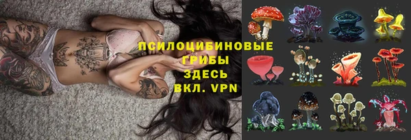 Альфа ПВП Карталы